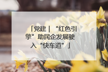 党建｜“红色引擎”助民企发展驶入“快车道”
