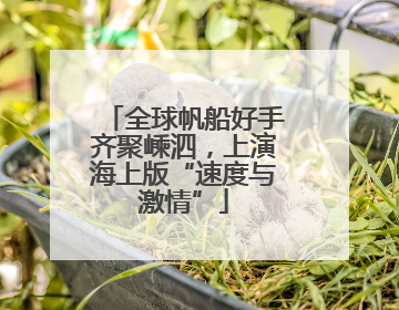 全球帆船好手齐聚嵊泗，上演海上版“速度与激情”