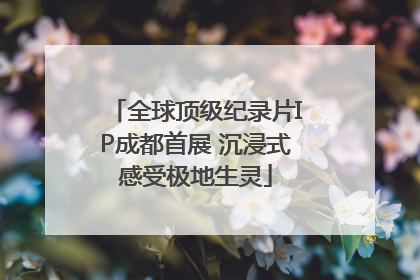 全球顶级纪录片IP成都首展 沉浸式感受极地生灵