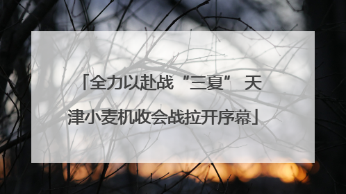 全力以赴战“三夏” 天津小麦机收会战拉开序幕
