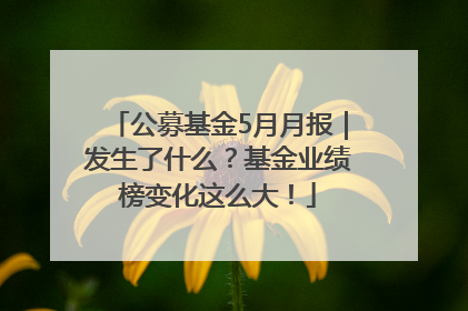 公募基金5月月报｜发生了什么？基金业绩榜变化这么大！