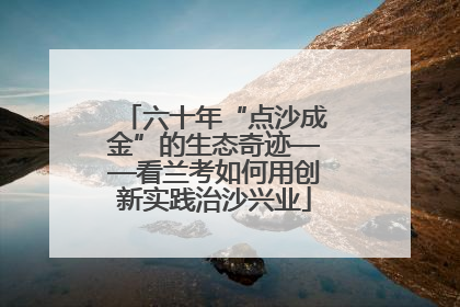 六十年“点沙成金”的生态奇迹——看兰考如何用创新实践治沙兴业