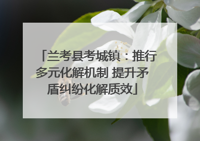 兰考县考城镇：推行多元化解机制 提升矛盾纠纷化解质效