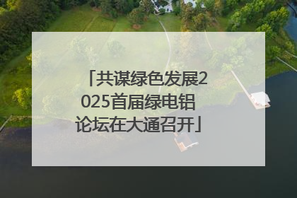 共谋绿色发展2025首届绿电铝论坛在大通召开