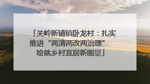 关岭新铺镇卧龙村：扎实推进“两清两改两治理” 绘就乡村宜居新图景