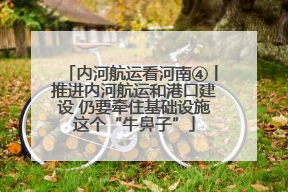 内河航运看河南④丨推进内河航运和港口建设 仍要牵住基础设施这个“牛鼻子”