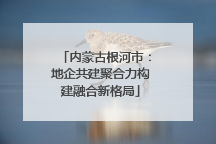 内蒙古根河市：地企共建聚合力构建融合新格局