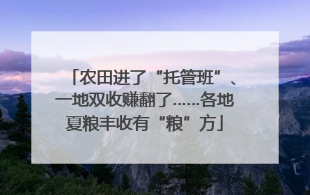 农田进了“托管班”、一地双收赚翻了……各地夏粮丰收有“粮”方