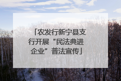 农发行新宁县支行开展“民法典进企业”普法宣传