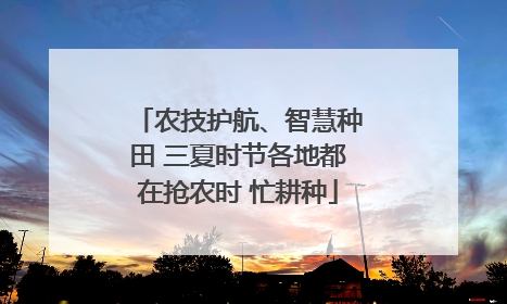 农技护航、智慧种田 三夏时节各地都在抢农时 忙耕种