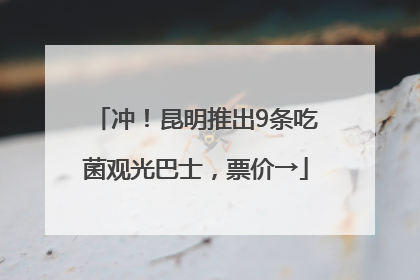 冲！昆明推出9条吃菌观光巴士，票价→