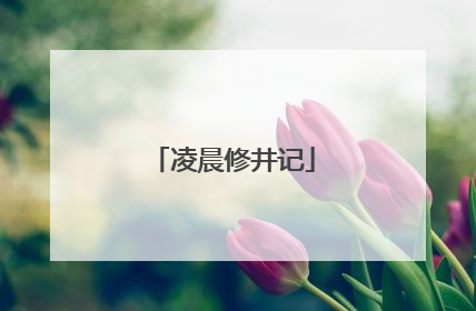 凌晨修井记