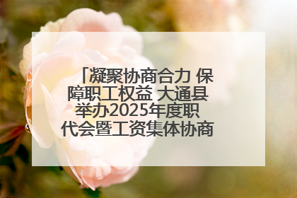 凝聚协商合力 保障职工权益 大通县举办2025年度职代会暨工资集体协商现场观摩交流活动