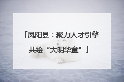 凤阳县：聚力人才引擎 共绘“大明华章”