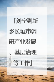 刘宁到新乡长垣市调研产业发展、基层治理等工作