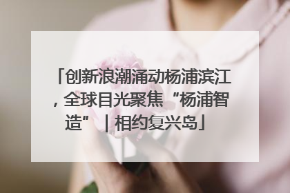创新浪潮涌动杨浦滨江，全球目光聚焦“杨浦智造”｜相约复兴岛