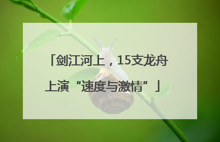 剑江河上，15支龙舟上演“速度与激情”