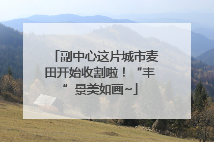 副中心这片城市麦田开始收割啦！“丰”景美如画~