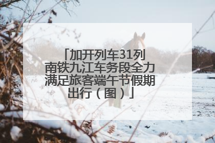 加开列车31列 南铁九江车务段全力满足旅客端午节假期出行（图）