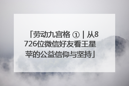劳动九宫格 ①｜从8726位微信好友看王星苹的公益信仰与坚持