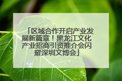 区域合作开启产业发展新篇章！黑龙江文化产业招商引资推介会闪耀深圳文博会