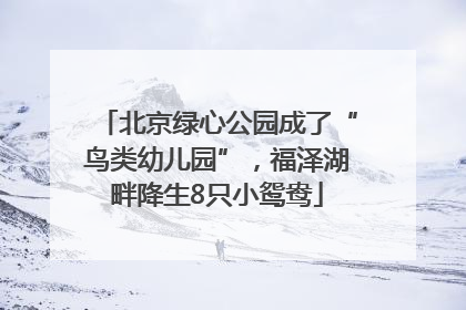 北京绿心公园成了“鸟类幼儿园”，福泽湖畔降生8只小鸳鸯