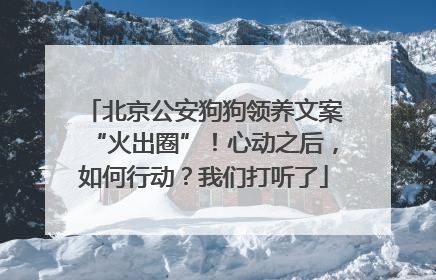 北京公安狗狗领养文案“火出圈”！心动之后，如何行动？我们打听了