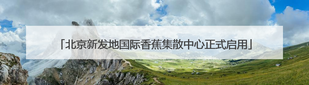 北京新发地国际香蕉集散中心正式启用
