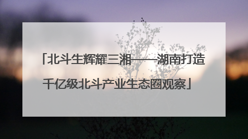北斗生辉耀三湘——湖南打造千亿级北斗产业生态圈观察