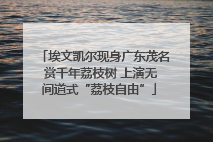 埃文凯尔现身广东茂名 赏千年荔枝树 上演无间道式“荔枝自由”
