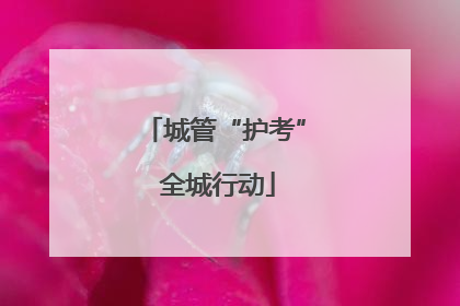 城管“护考” 全城行动