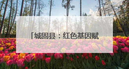 城固县：红色基因赋能智慧应急 探索基层治理现代化新路径