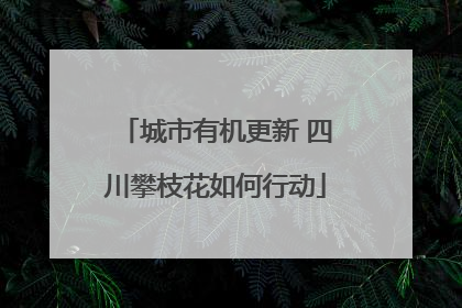城市有机更新 四川攀枝花如何行动