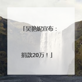 吴艳妮宣布：捐款20万！