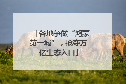 各地争做“鸿蒙第一城”，抢夺万亿生态入口