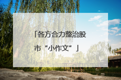 各方合力整治股市“小作文”