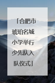 合肥市琥珀名城小学举行少先队入队仪式