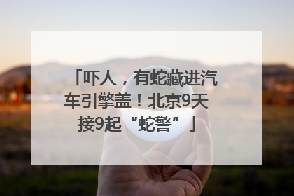 吓人，有蛇藏进汽车引擎盖！北京9天接9起“蛇警”
