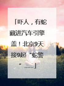 吓人，有蛇藏进汽车引擎盖！北京9天接9起“蛇警”……