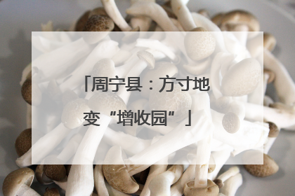 周宁县：方寸地变“增收园”