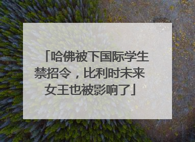 哈佛被下国际学生禁招令，比利时未来女王也被影响了