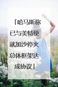 哈马斯称已与美特使就加沙停火总体框架达成协议