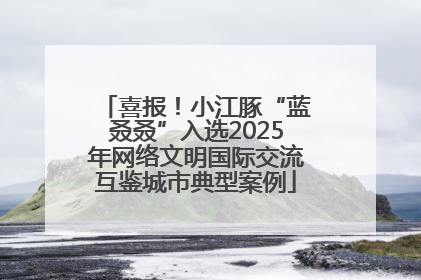 喜报！小江豚“蓝叒叒”入选2025年网络文明国际交流互鉴城市典型案例