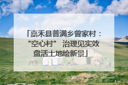 嘉禾县普满乡曾家村：“空心村” 治理见实效 盘活土地绘新景