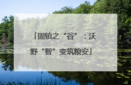 固镇之“谷”：沃野“智”变筑粮安