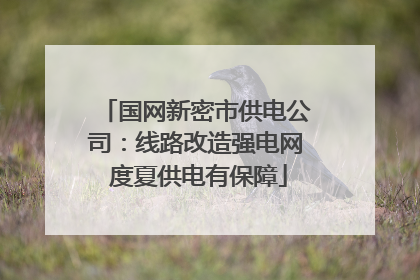 国网新密市供电公司：线路改造强电网 度夏供电有保障