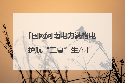 国网河南电力满格电护航“三夏”生产