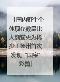 国内野生个体现存数量比大熊猫更为稀少！扬州首次发现“国宝”彩鹮