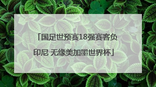 国足世预赛18强赛客负印尼 无缘美加墨世界杯