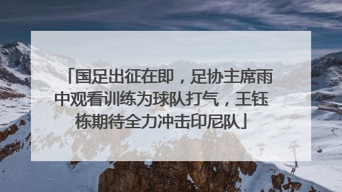 国足出征在即，足协主席雨中观看训练为球队打气，王钰栋期待全力冲击印尼队